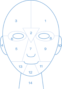 Facemap